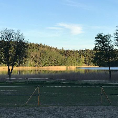 Nice Holiday House At Horse Farm With Lake And Sauna Holo  Exteriör bild