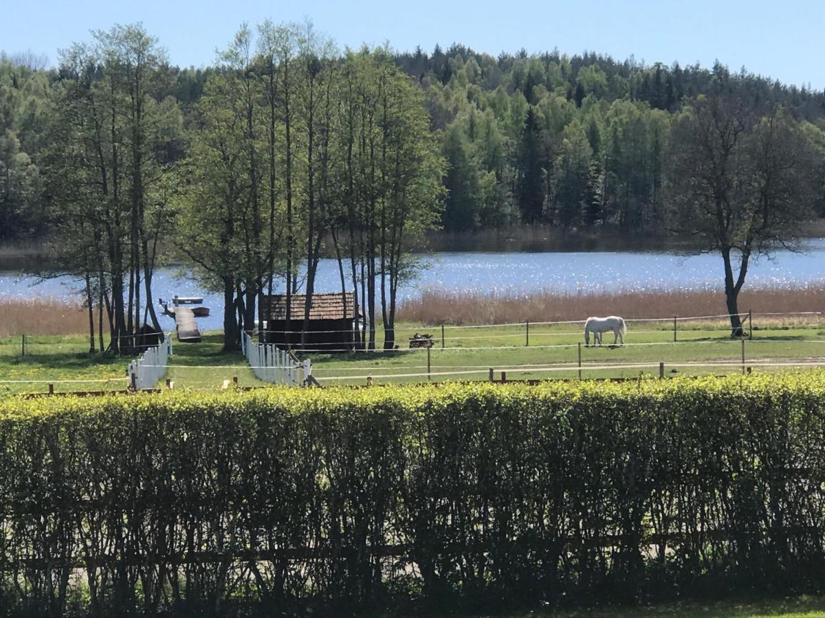 Nice Holiday House At Horse Farm With Lake And Sauna Holo  Exteriör bild