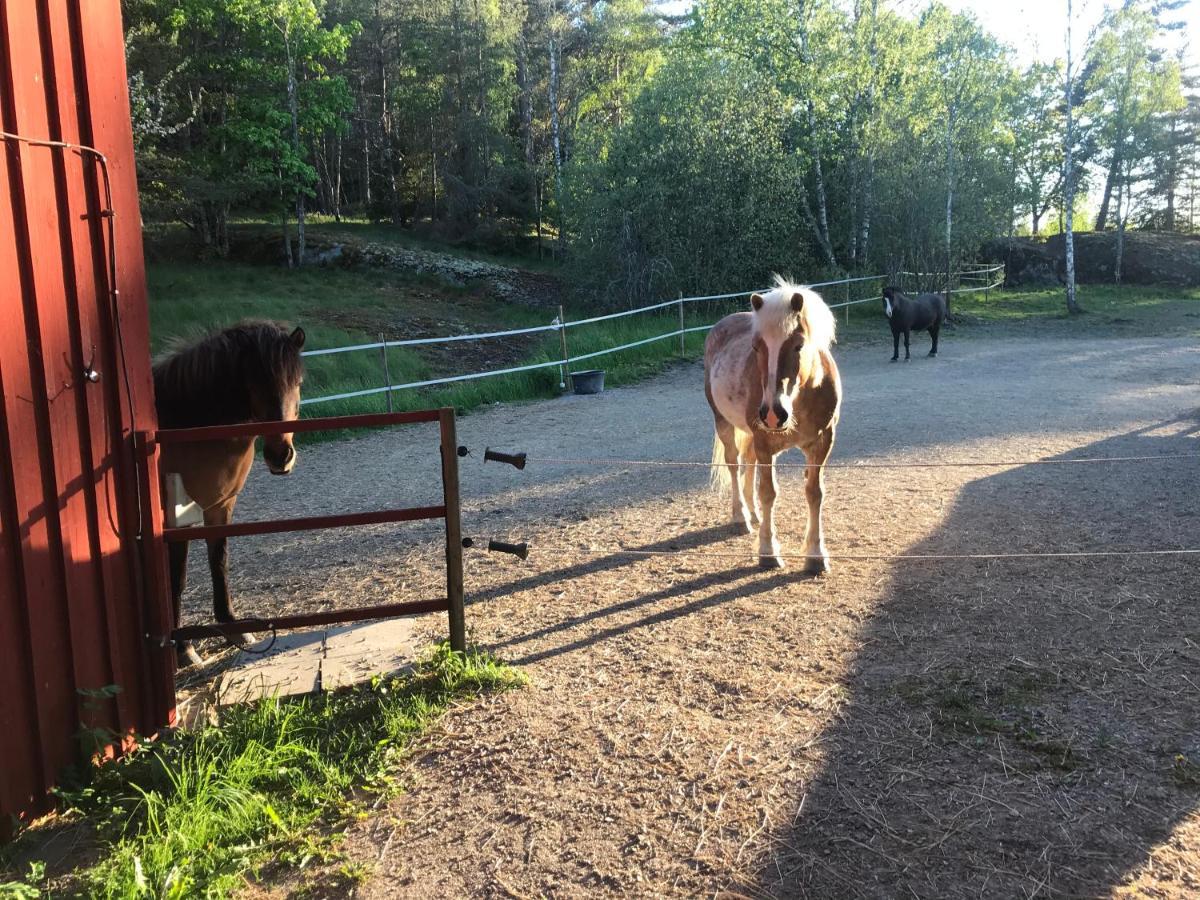 Nice Holiday House At Horse Farm With Lake And Sauna Holo  Exteriör bild
